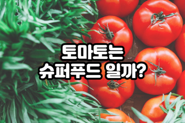 토마토 잘 먹는 방법 및 토마토도 슈퍼푸드(Superfood)일까?